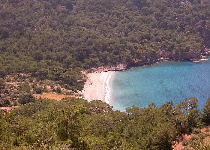 Exclusive Boutique 1 4*