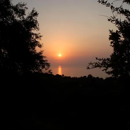 Exclusive Boutique 1