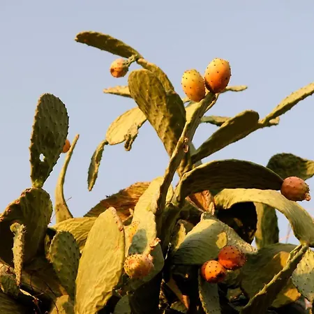 Penzion Exclusive Boutique 1 4*