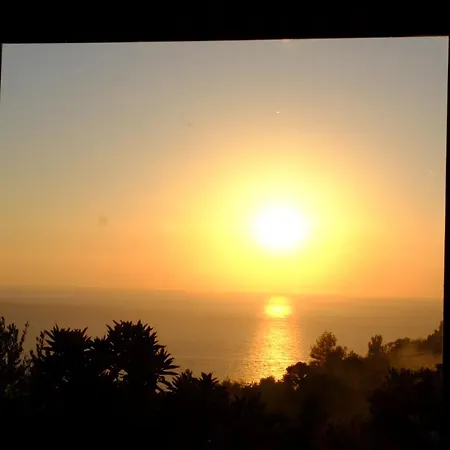 Exclusive Boutique 1