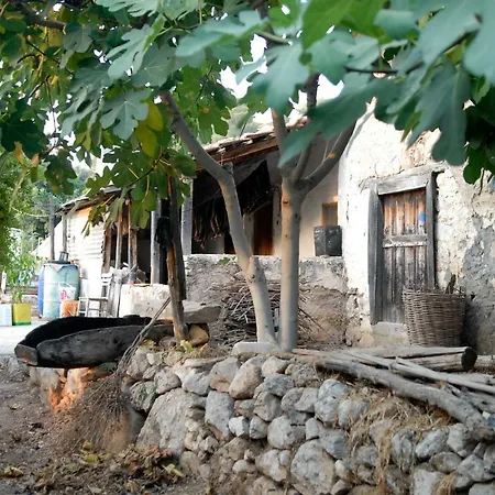 Penzion Exclusive Boutique 1 Faralya